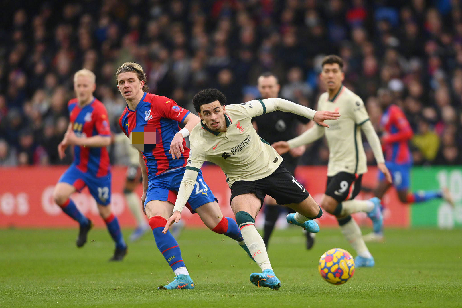 疑是曼城的 疑是曼城的